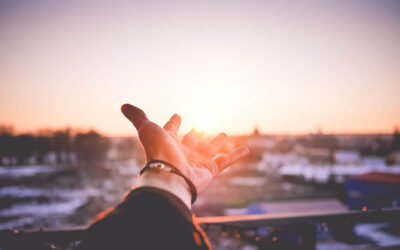 Viatge emocional amb les activitats de Fundació Salut Plus