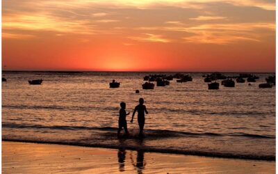 IMG-Diagn不tic FSPTOT