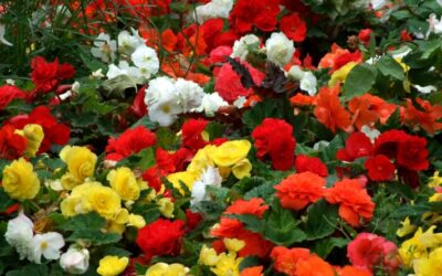 WhatsApp Image 2022-06-13 at 07_37_57